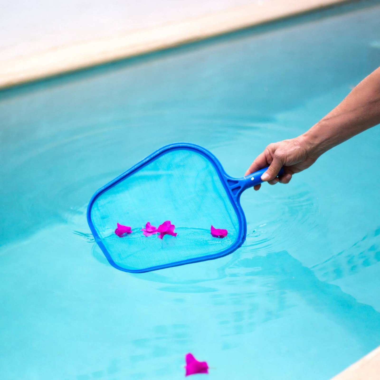 Odłączana siatka do czyszczeni – Pool Skimmer Net recenzja i cena